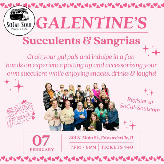 Galentine's Succulents & Sangria - February 7th