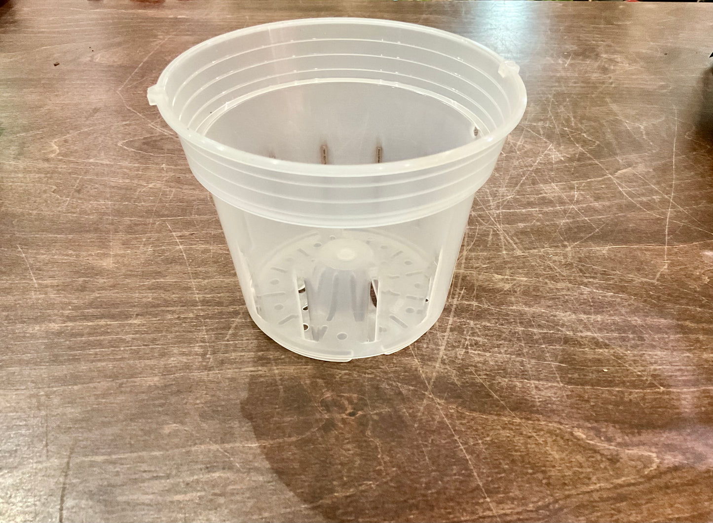 Orchid Plastic Nursery Pot 6.5”