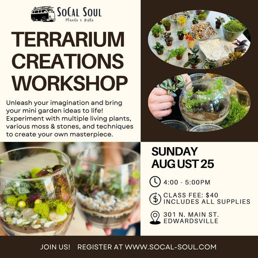 Terrarium Creation Workshop