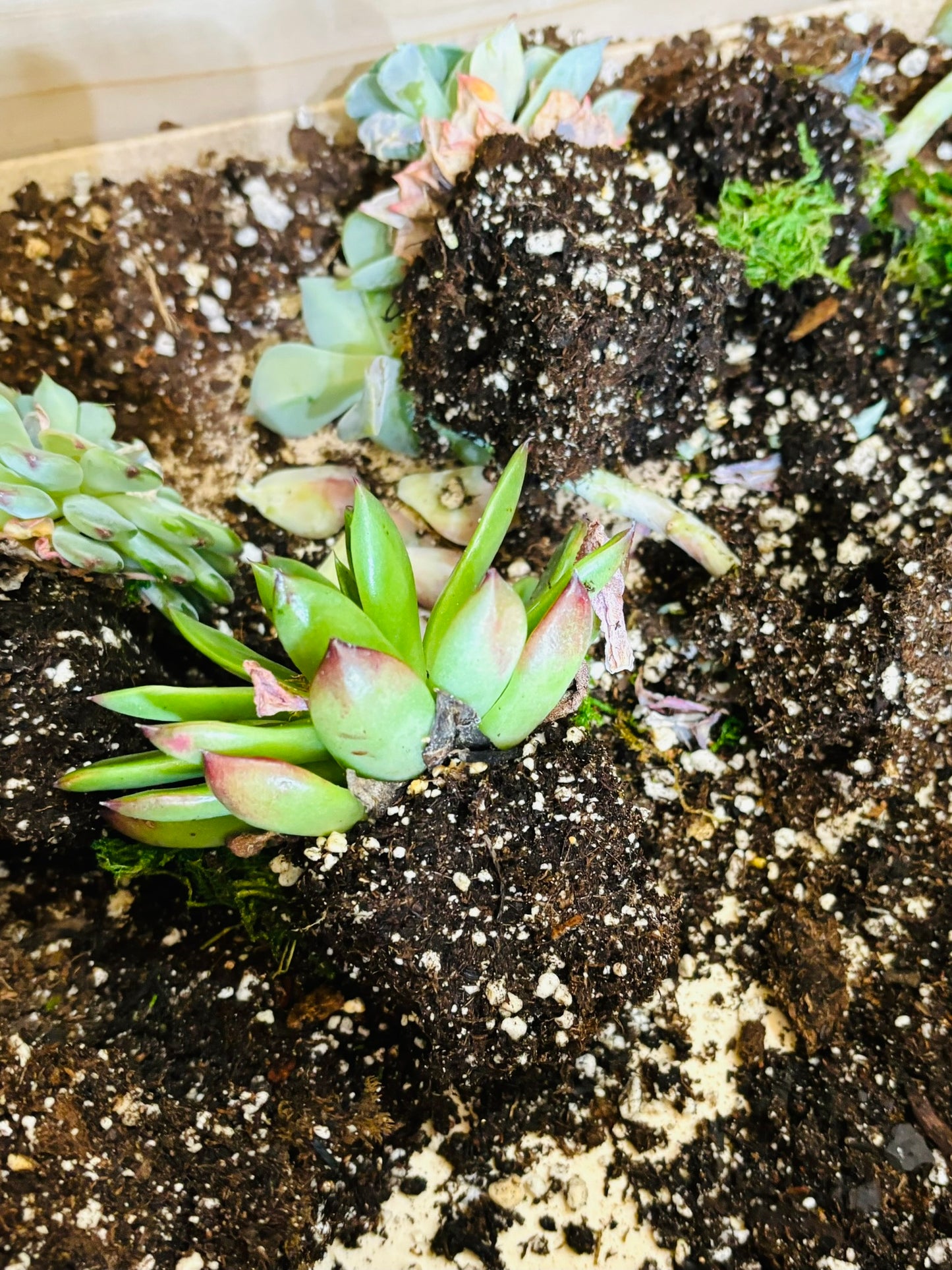 Propagation 101 - September 29th