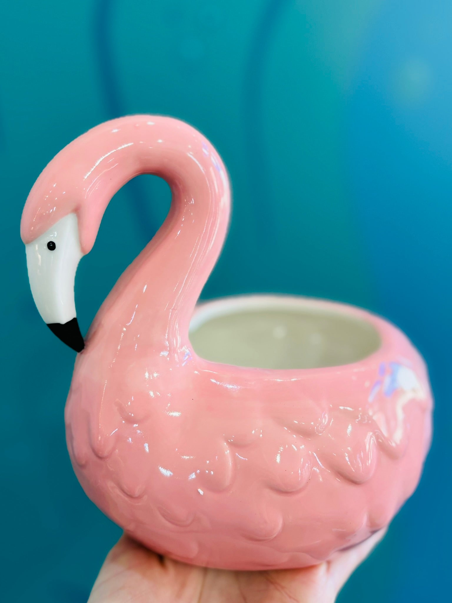 Flamingo Pot – SoCal Soul Plants & Gifts