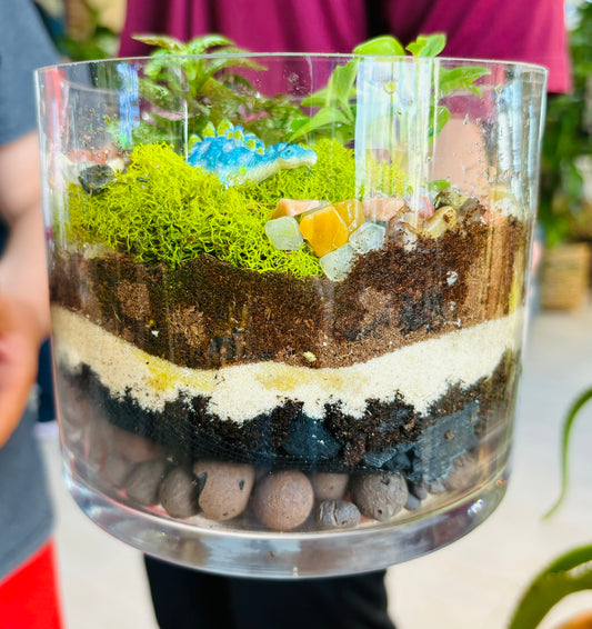 Terrarium Workshop - November 15th