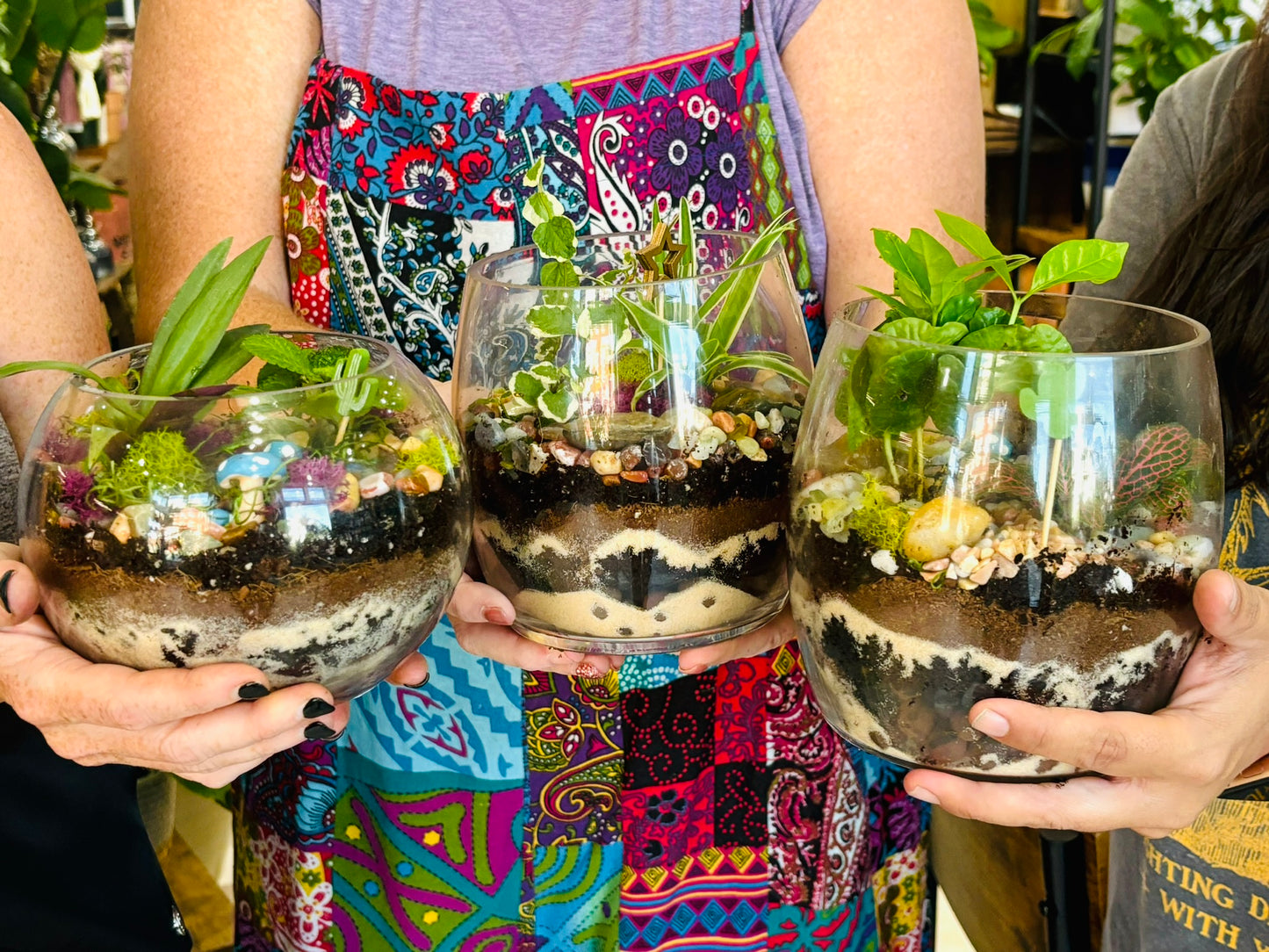 Terrarium Workshop - November 15th