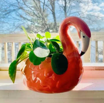 Flamingo Pot
