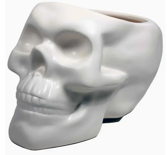 Skull Pot