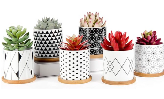 Geometric Pot