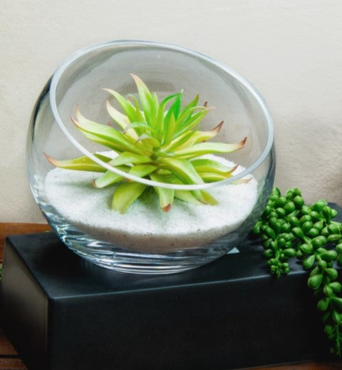 Open Slope Terrarium Bowl