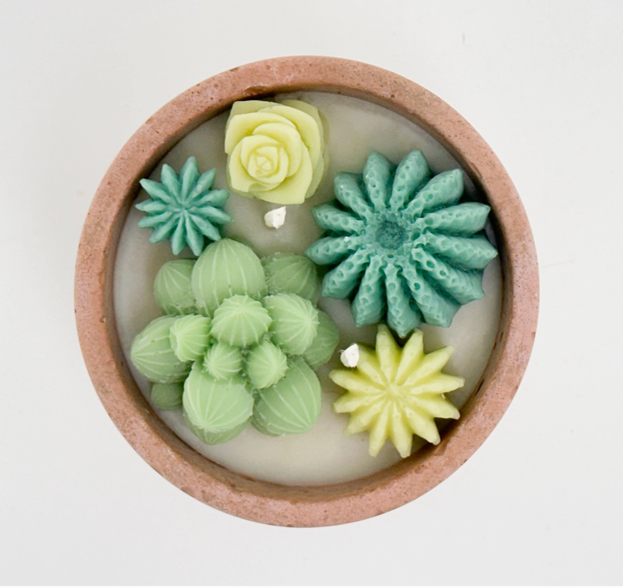 Succulent Candles