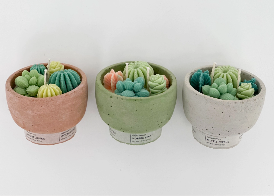 Succulent Candles