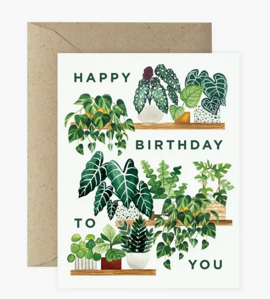 Paper Anchor Co. Cards