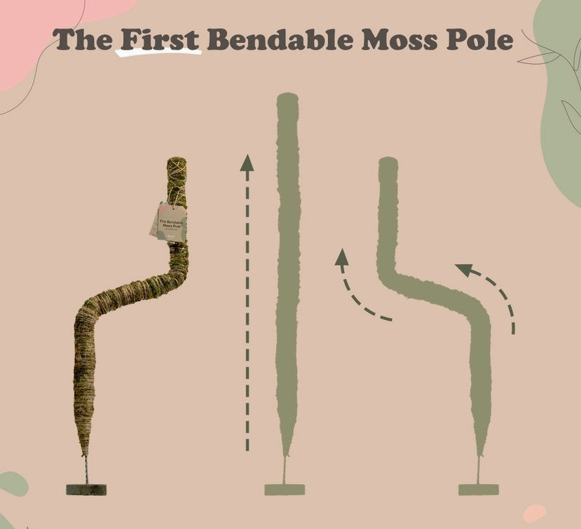 Bendable Moss Pole - Small 16"