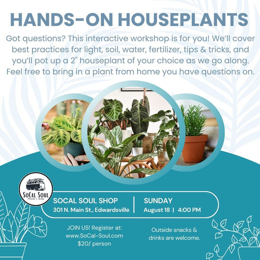 Hands-On Houseplants Workshop