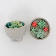 Succulent Candles