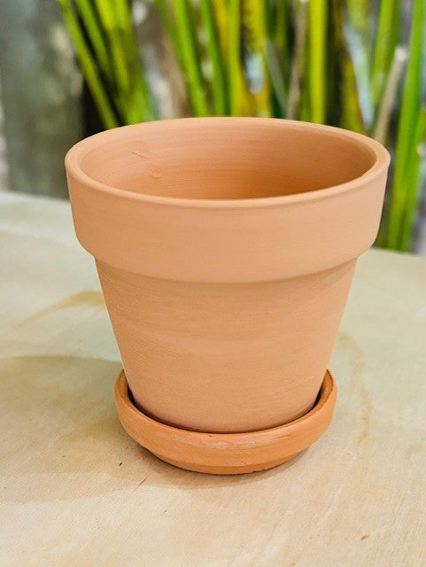 Terracotta Pot 2"