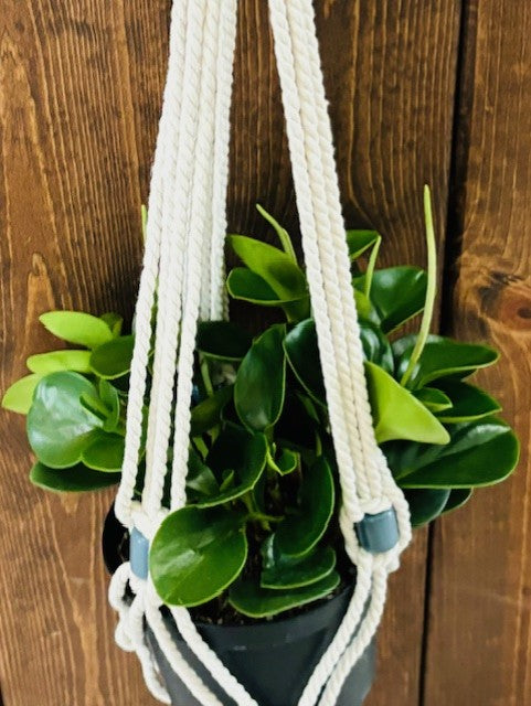 Macrame Plant Holder - Large Beaded