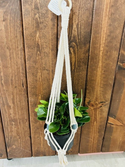 Macrame Plant Holder - Large Beaded