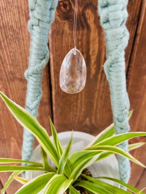 Macrame Plant Holder - Prism