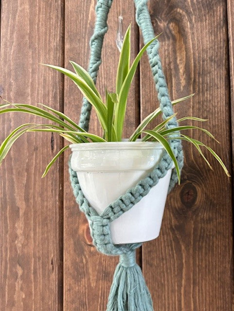 Macrame Plant Holder - Prism